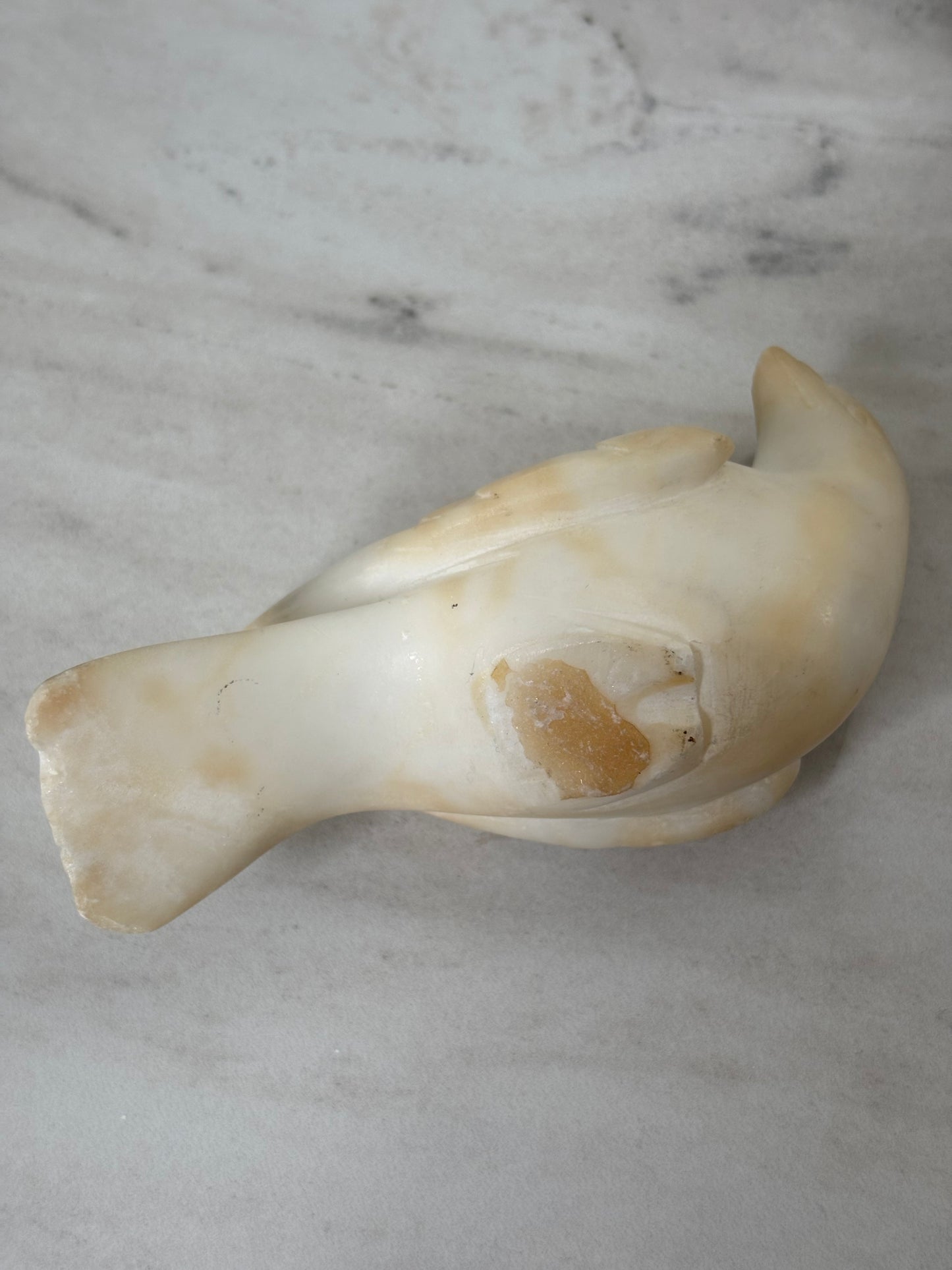 Alabaster Bird