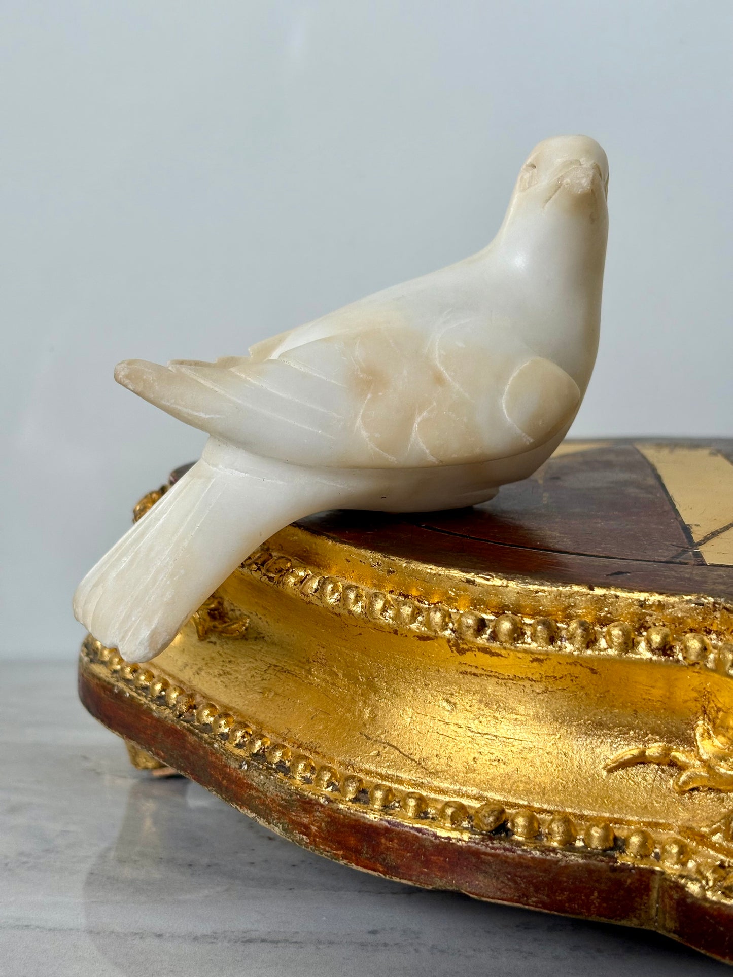 Alabaster Bird