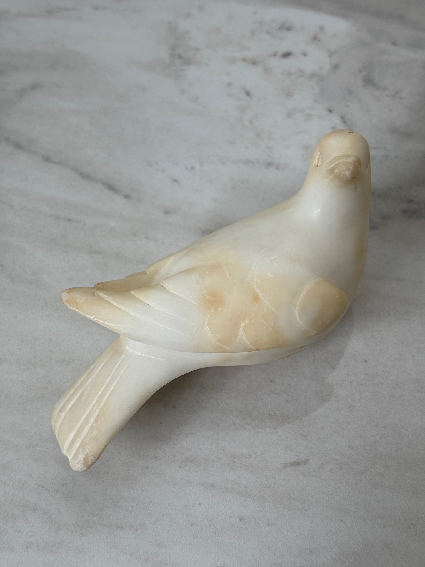 Alabaster Bird