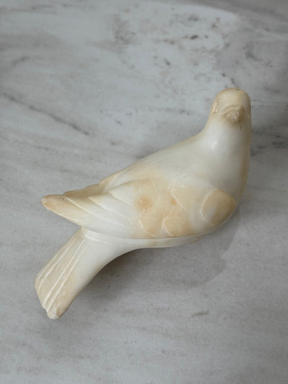 Alabaster Bird