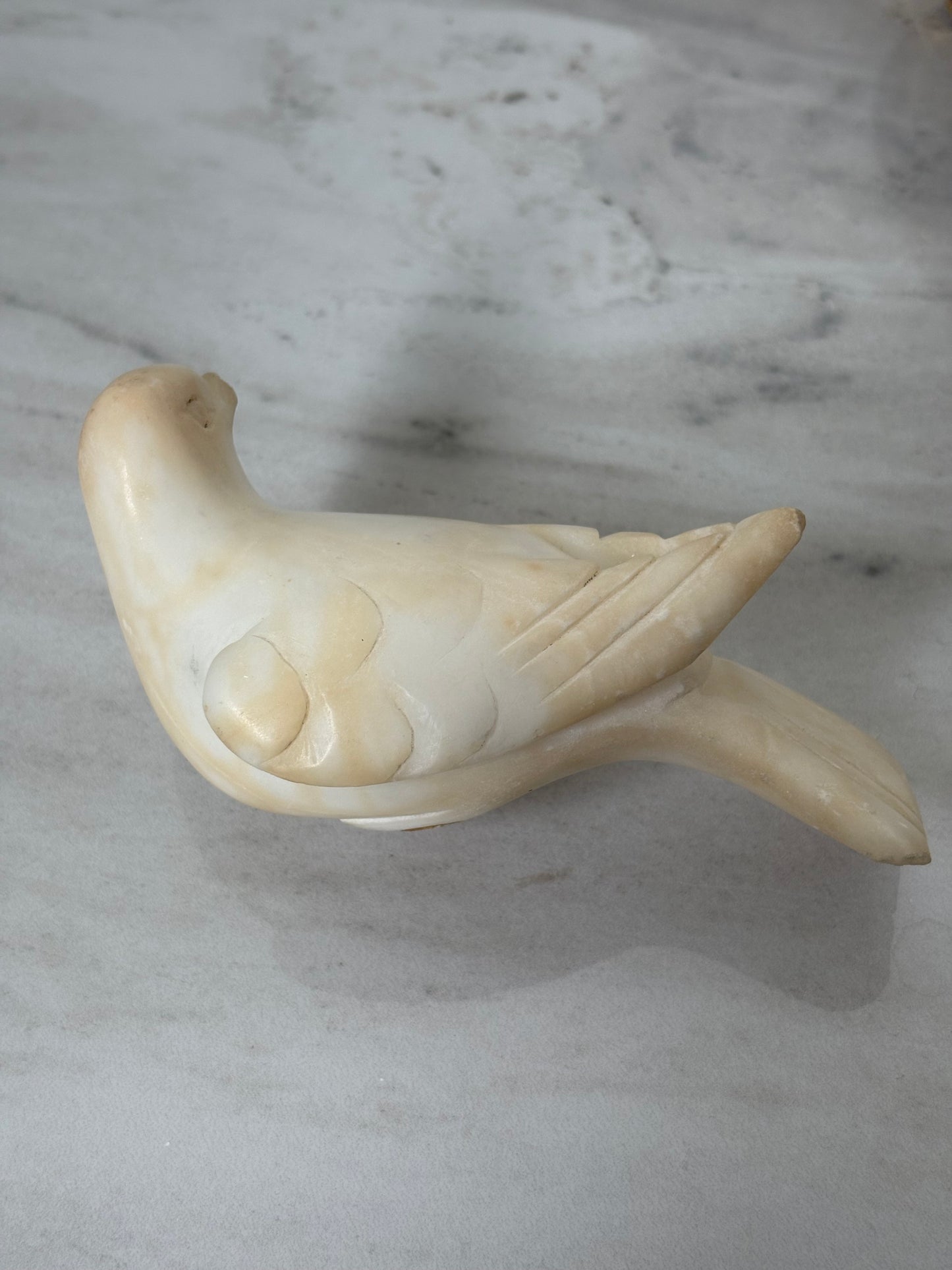 Alabaster Bird